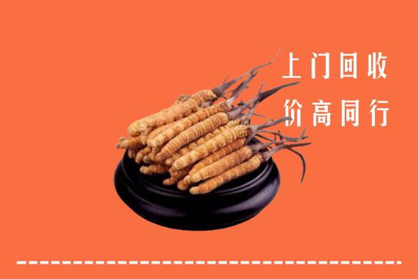 温江区回收冬虫夏草